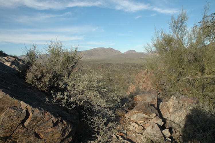 Things to do see in Phoenix Arizona Cave Creek Go John Trail Hiking View Desert Full Time Explorer