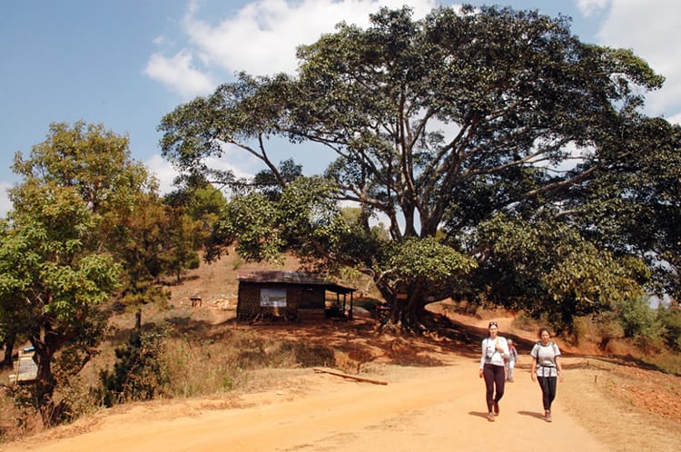 Two trekkers walk on a dirt road through a small village during the Kalaw Trek to Inle Lake