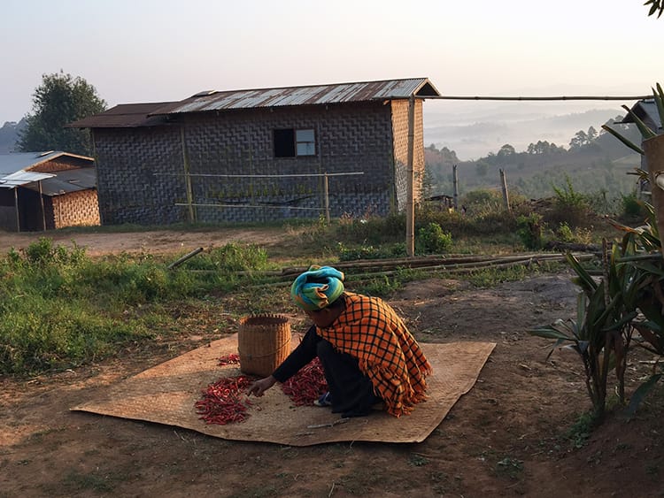 A woman sits on a mat outside at sunset sorting through chilis collected in the field that day