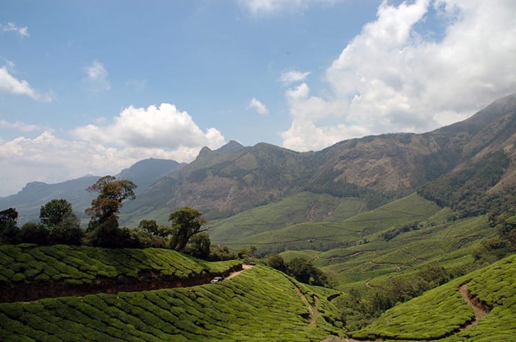 The gorgeous green hills surrounding the Kolukkumalai Tea Plantation