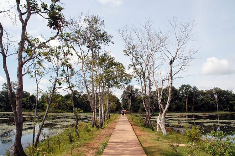 A long wooden walkway leading to a temple in the middle of a pond in Siem Reap