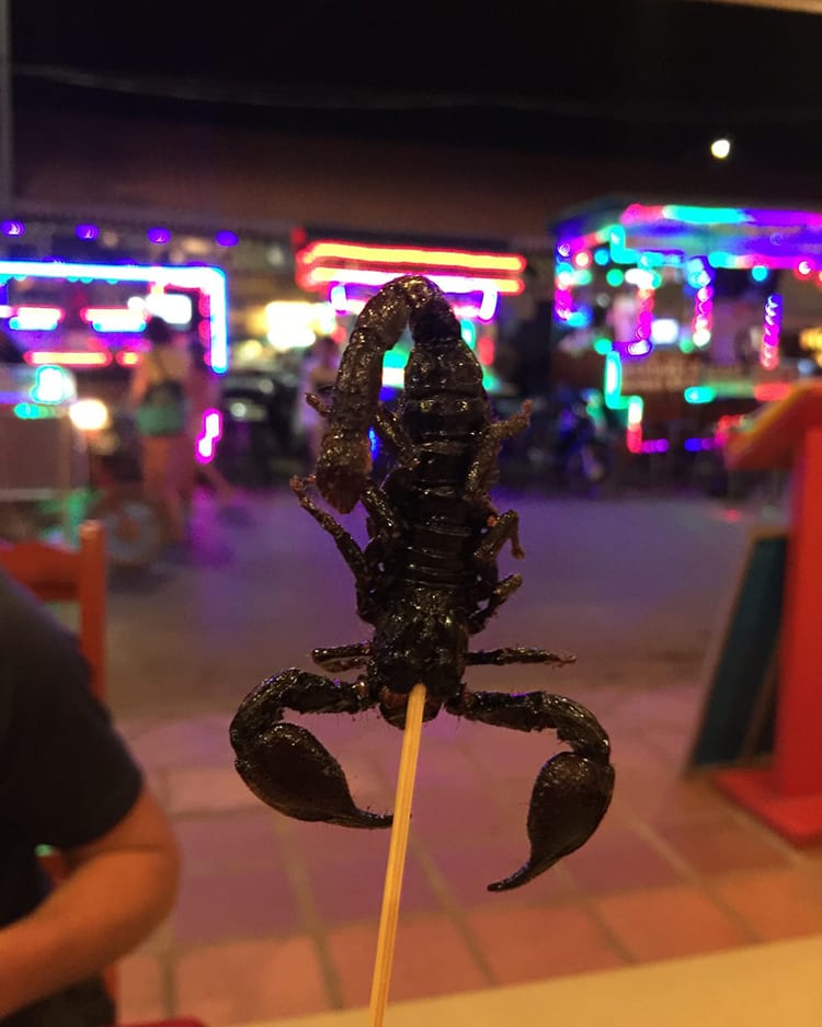 A scorpion on a stick ready to eat in Cambodia
