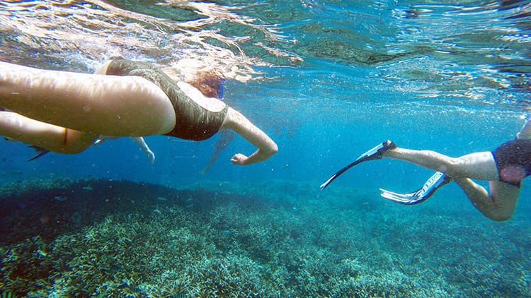 An underwater view of people swimming while snorkeling in Nusa Lembongan