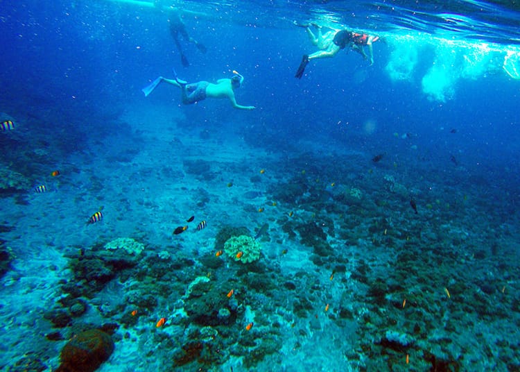 People swim under water in the distance in the crystal clear waters