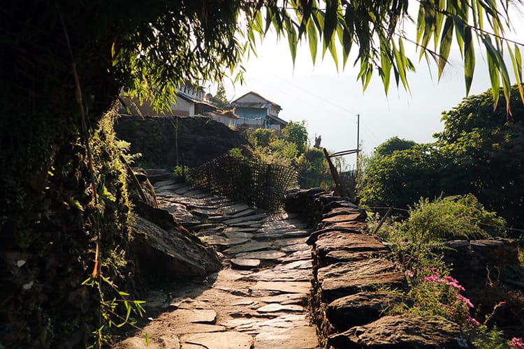 A beautiful stone pathway weaving through Tangting Village