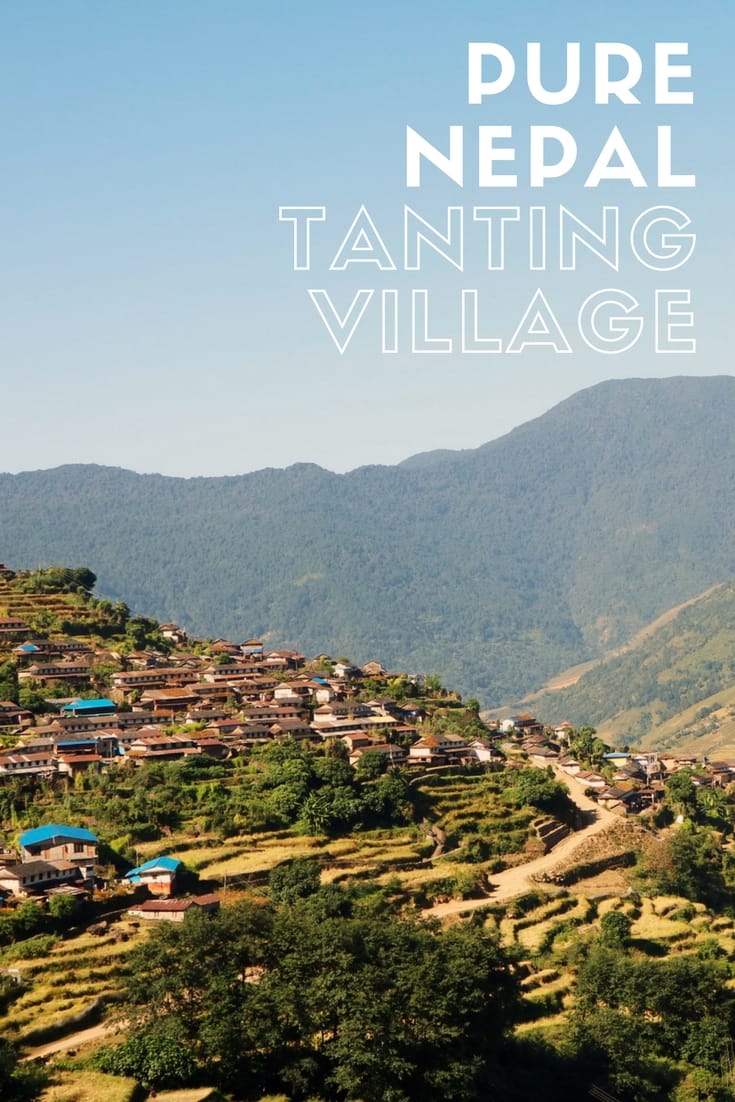 Experiencing Pure Authentic Nepal in Tanting Village Annapurna Conservation Area Circuit Trek Full Time Explorer Nepal | Nepal Travel Destinations | Nepal Photo | Nepal Photography | Nepal Honeymoon | Backpack Nepal | Backpacking Nepal | Nepal Vacation | South Asia | Budget | Off the Beaten Path | Wanderlust | Things to Do | Culture Food | Tourism  #travel #backpacking #budgettravel #wanderlust #Nepal #Asia #visitNepal #TravelNepal