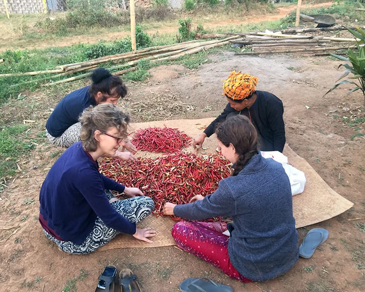 Michelle Della Giovanna from Full Time Explorer helps sort red chilis on a blanket outside