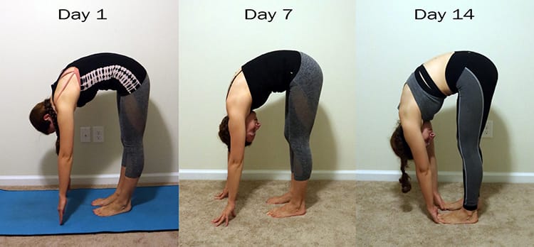 A photo from day 1, 7, and 14 showing progress with a forward fold