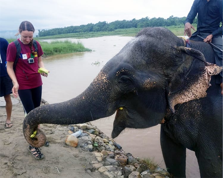Michelle Della Giovanna from Full Time Explorer feeds a banana to an elephant and the bathing area