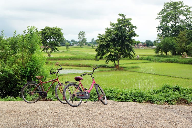 Two bicycles sit on the road in front of a rice field in Chitwan during monsoon season in Nepal