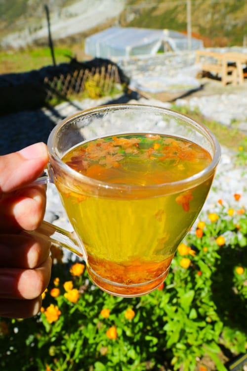 Himalayan Flower Tea