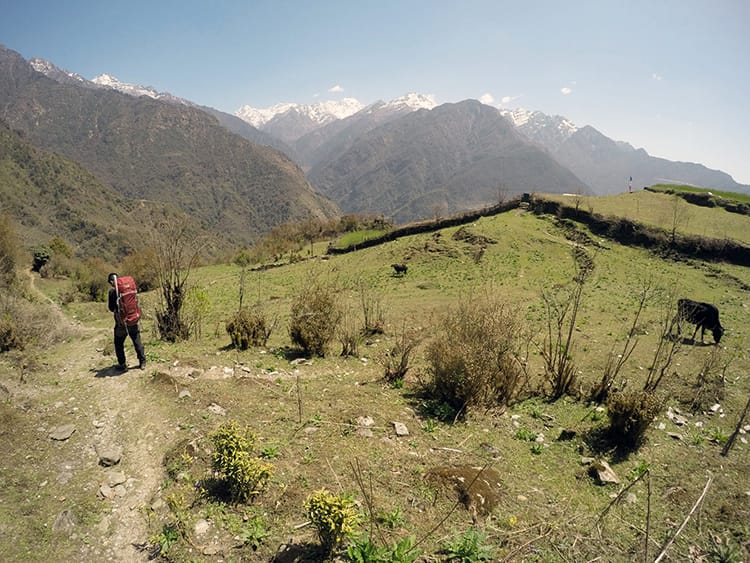 A guide walks ahead on the trail with mountains in the distance