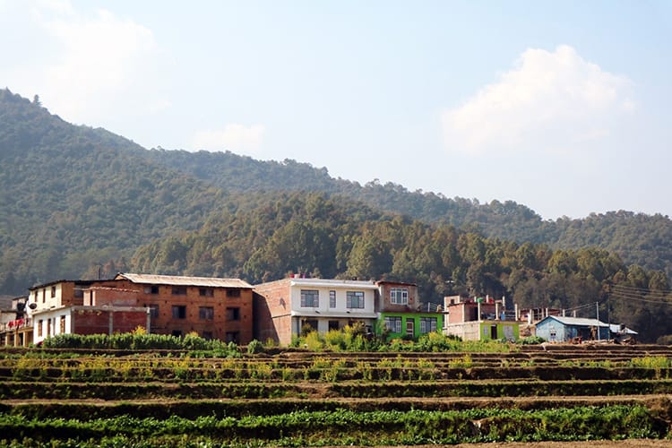 Farmhouses sit above terraced farms that grow potatoes