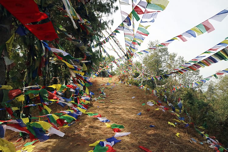 Hundreds of flags fly over the pathway from Namo Buddha to Balthali