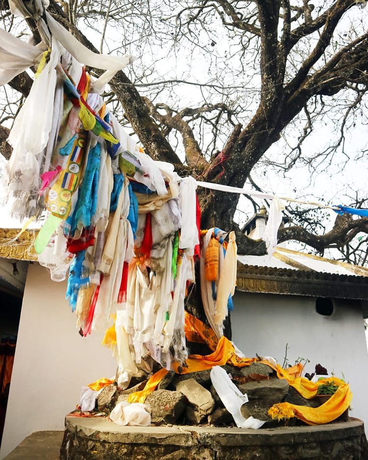 Pieces of fabric tied to a tree for good luck at Namo Buddha Monastery