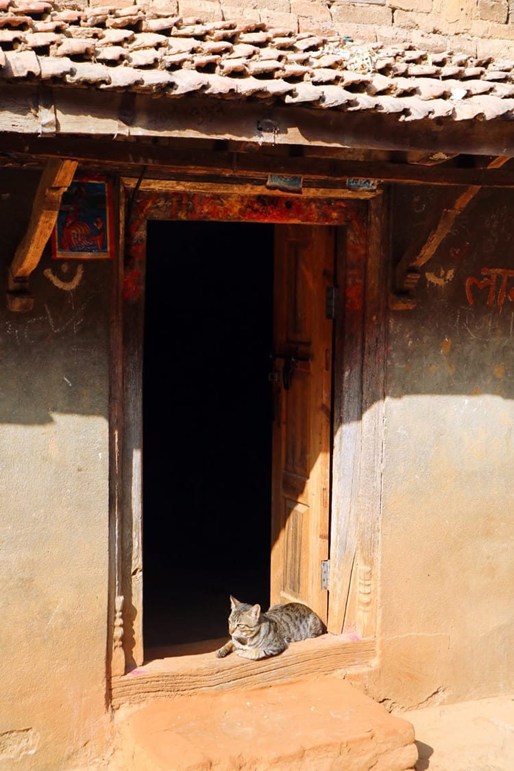 A cat sits in a doorway soaking up the sun