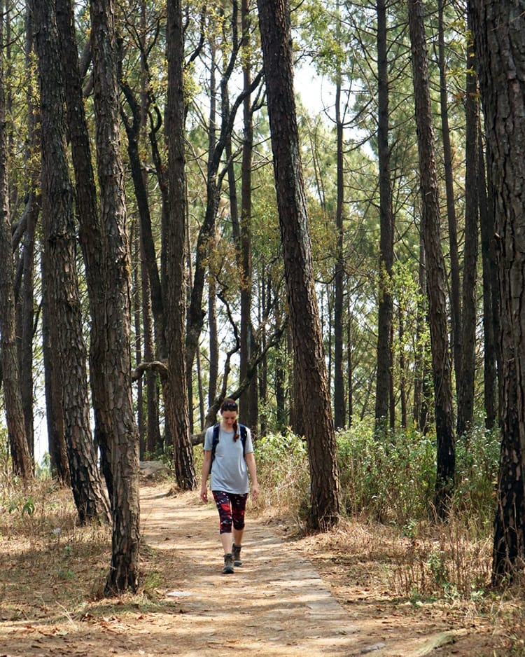 Michelle Della Giovanna from Full Time Explorer walks through Shreenagar Park