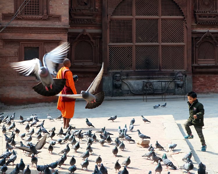 A monk stands outside of Kathmandu Durbar Square in Nepal in February as a boy chases pigeons