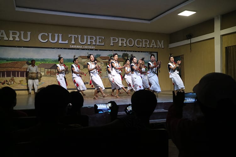 Tharu Cultural Program in Sauraha