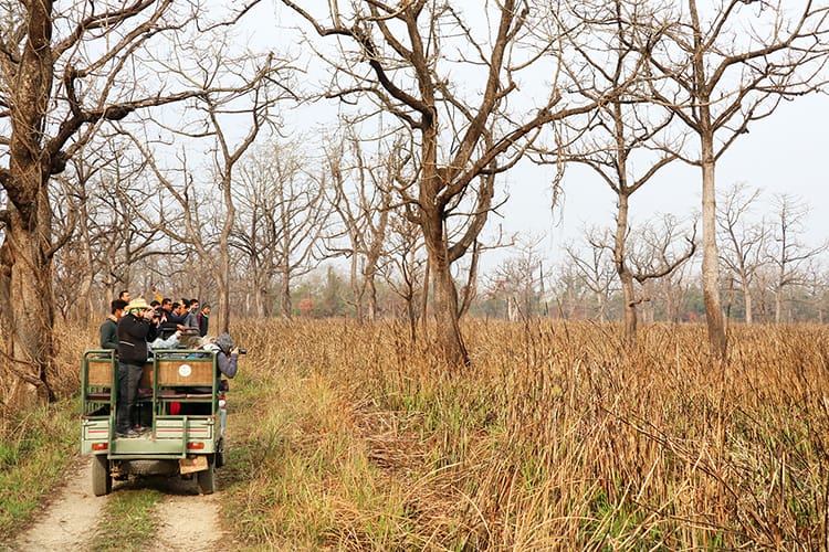A Chitwan jungle safari jeep drives through the national park in Nepal