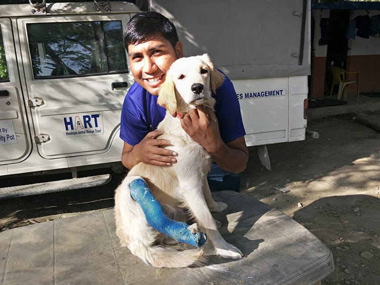 A member of the HART team hugs a dog who was recently rescued and has a cast on it's hind leg