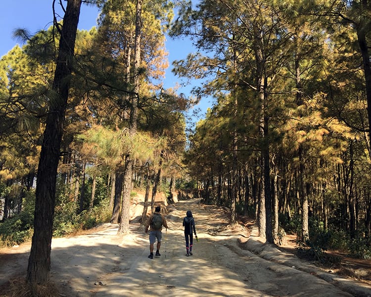 Two hikers walk through the woods on the way to Tarebhir