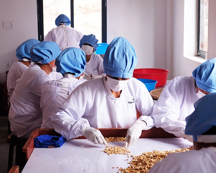 Workers at Sanchai peel peanut