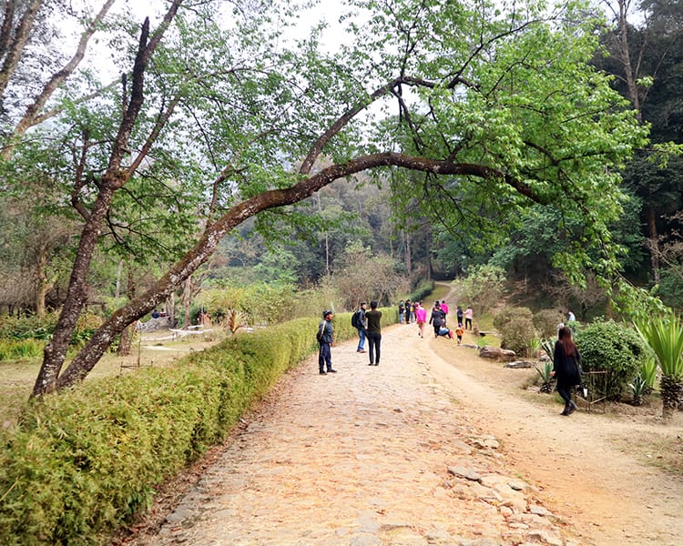 Visitors walk down the main path of Godawari Botanical Garden in the winter