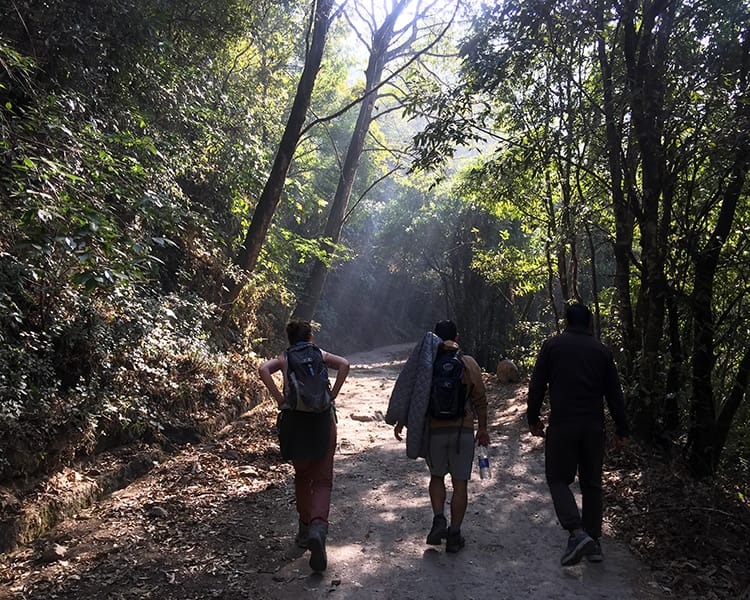 Three hikers walk through the woods in Shivapuri National Park