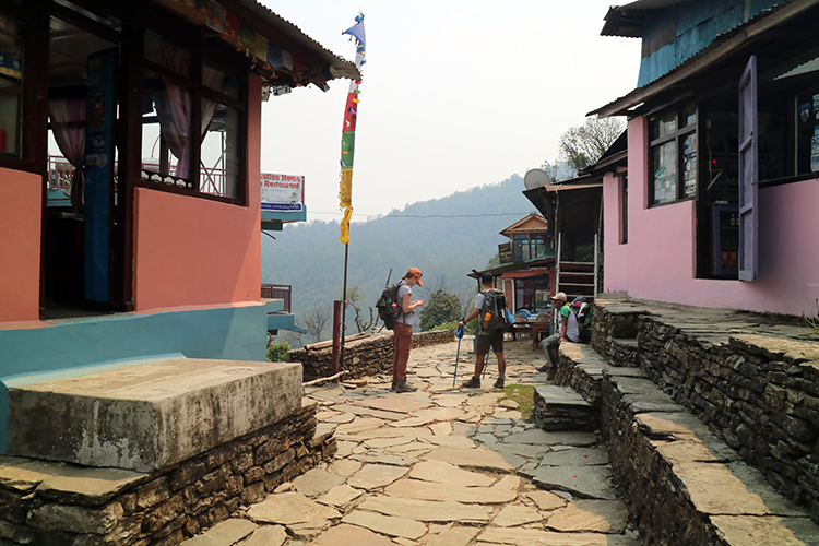 Two trekkers discuss where to go next along the Mardi Himal Trek