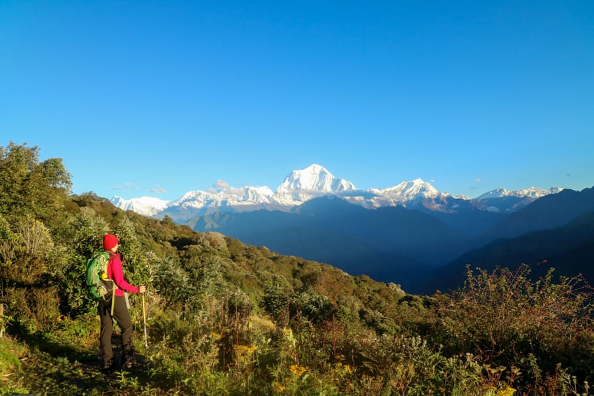 View of the Himalaya from the path to Poon Hill just above Ghorepani, Nepal