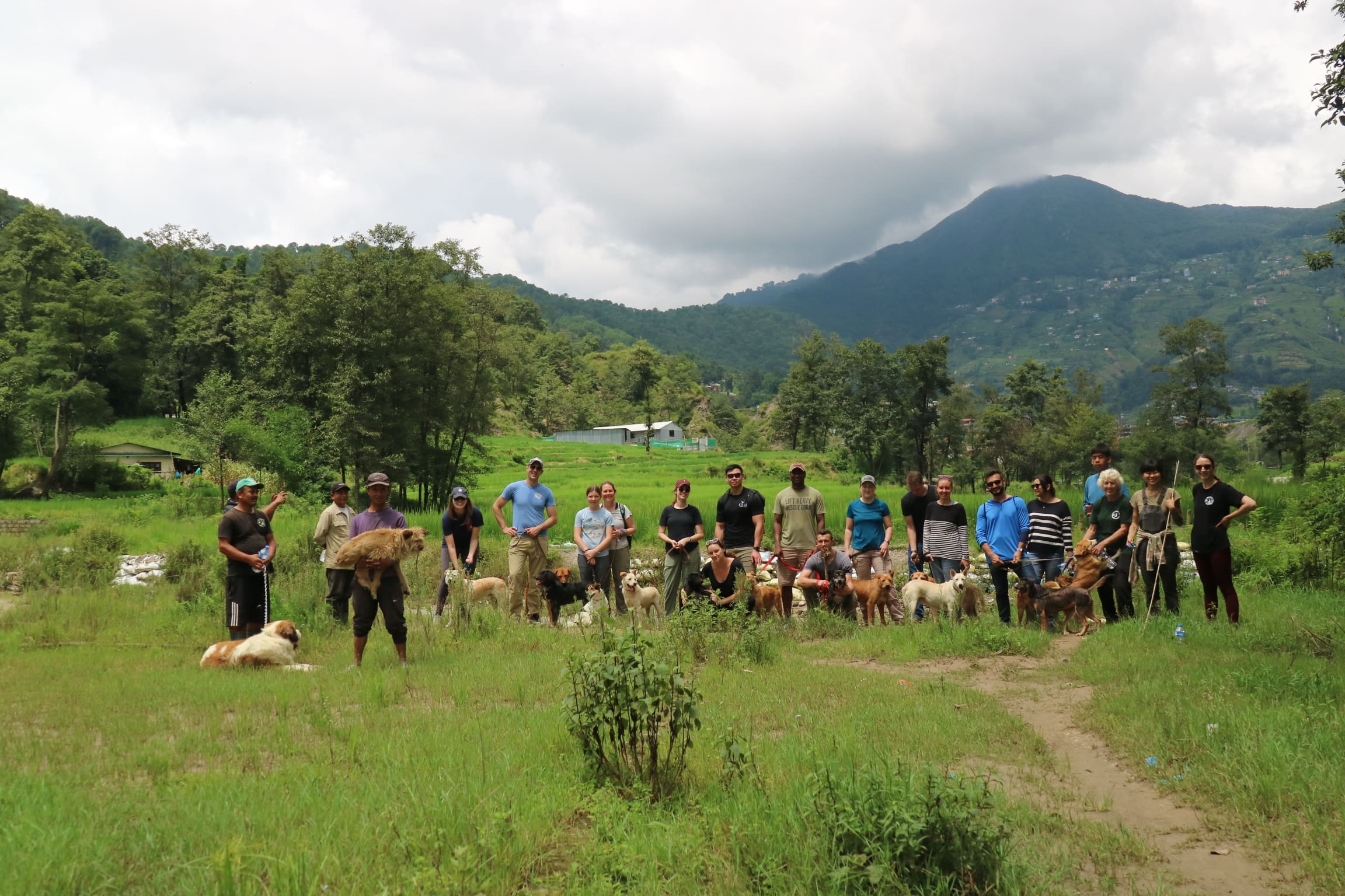 A group of volunteers hiking in Kathmandu with street dogs