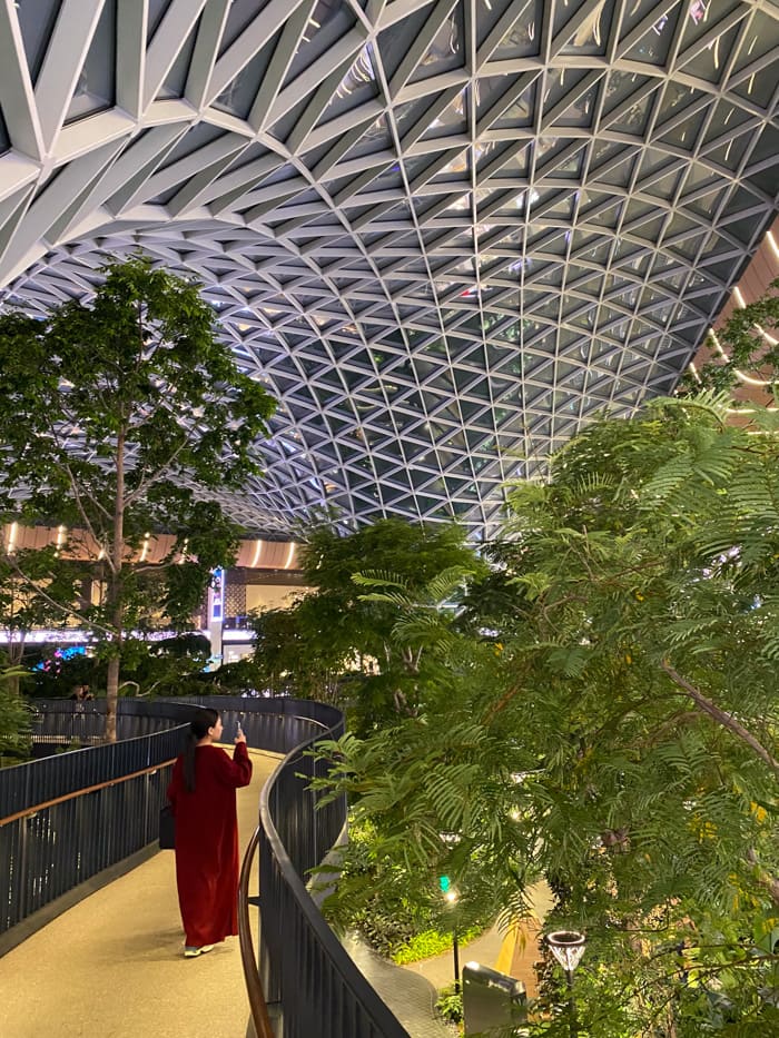What to Do If Your Flight is Delayed Qatar Doha Airport Indoor Tree Park Transit Tour
