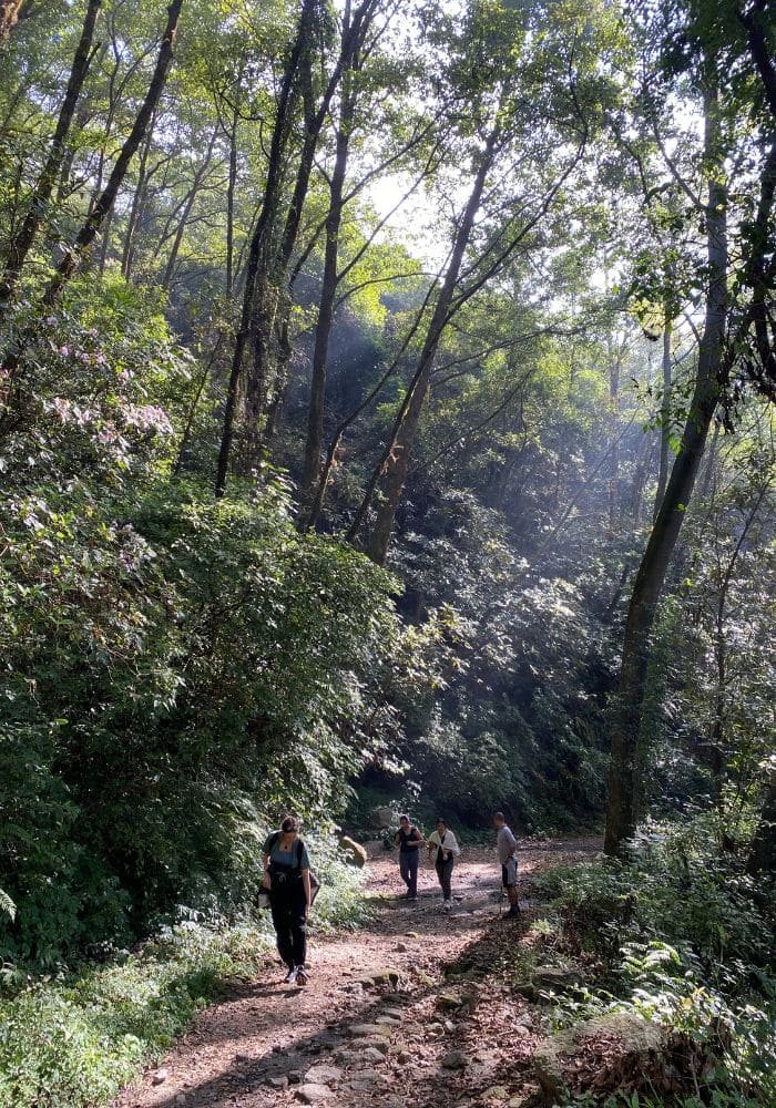Panimuhan Hike, Hiking in Shivapuri National Park