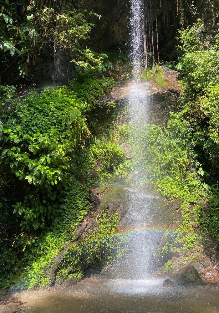 Panimuhan Hike, Hiking in Shivapuri National Park
