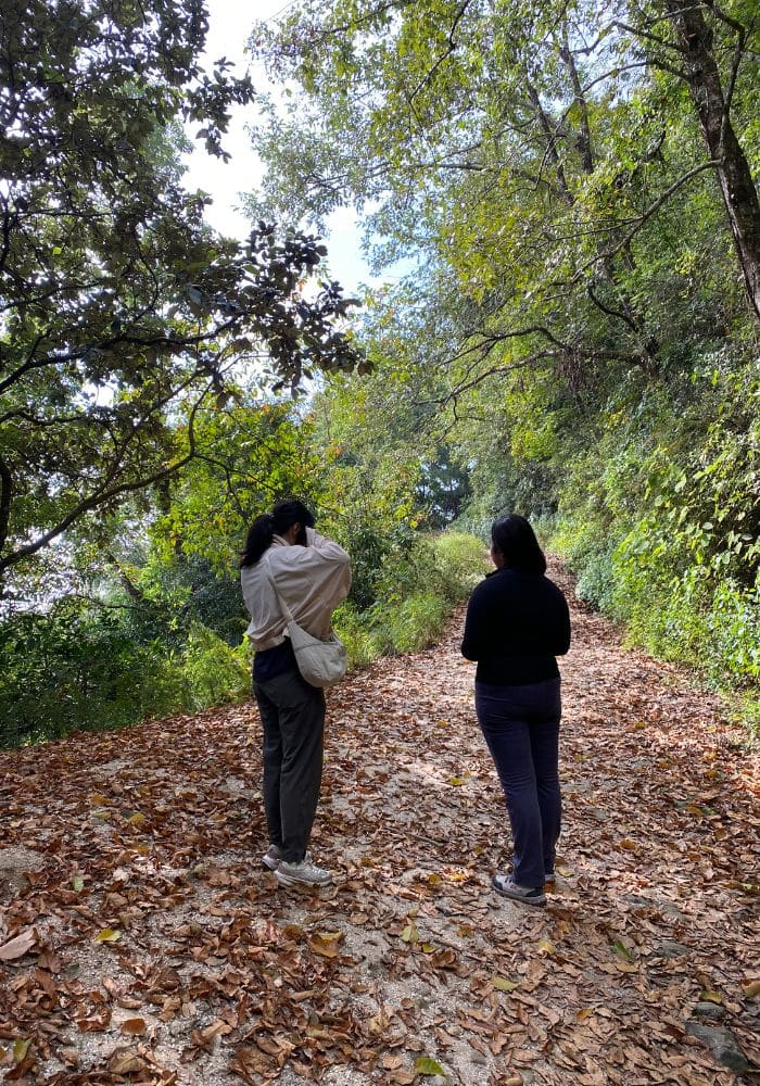 Panimuhan Hike, Hiking in Shivapuri National Park