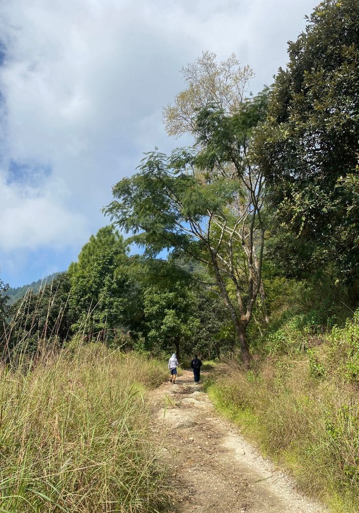 Panimuhan Hike, Hiking in Shivapuri National Park