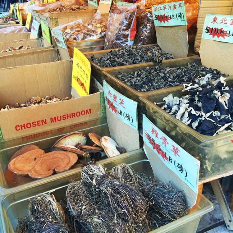 An array of different types of mushrooms at a store in Chinatown NYC