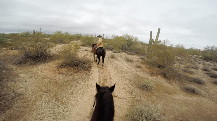 Things to do see in Phoenix Arizona Macdonalds Ranch Horseback Riding Tour Smokey Joe Horses Desert Full Time Explorer