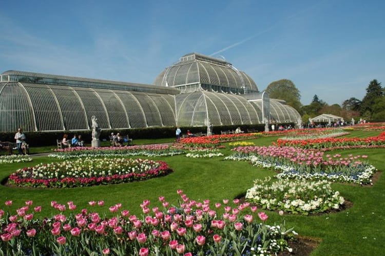 13 things to do in London that aren't overrated full time explorer england sightseeing to do kew gardens green house