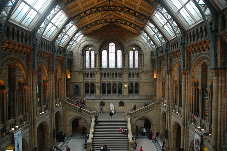 13 things to do in London that aren't overrated full time explorer england sightseeing to do museum of natural history