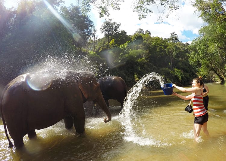 Two girls throw a bucket of water at an elephant while swimming with elephants in Thailand