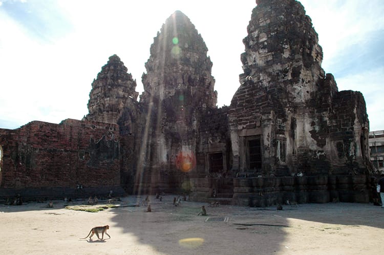 The monkey temple in Lopburi, Thailand
