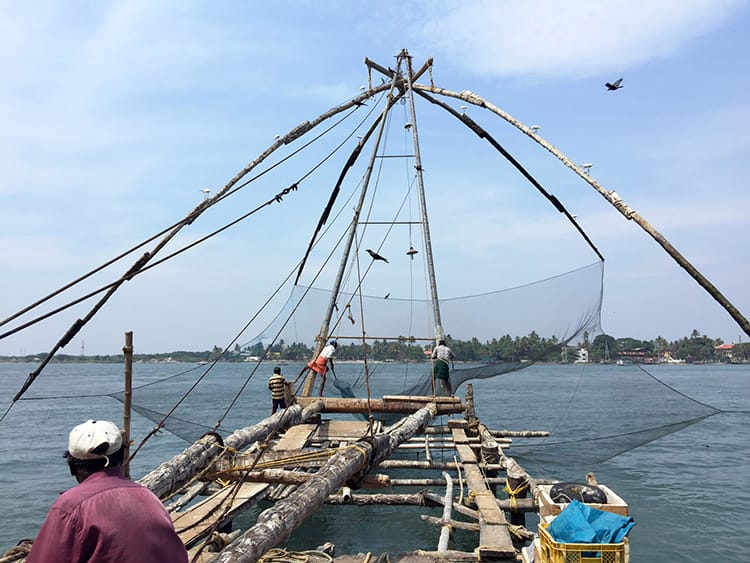 The famous Chinese fishing nets in Kochi which look like giant sling shots
