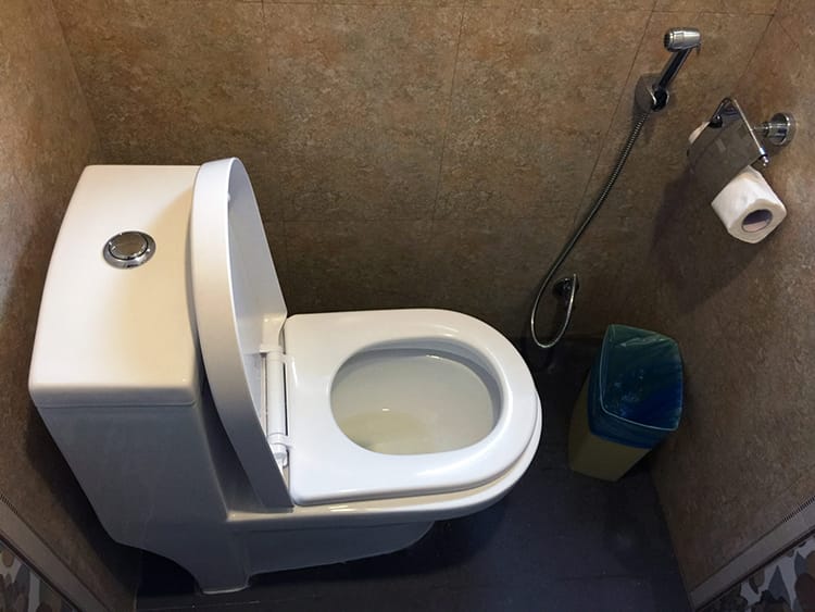A toilet in Nepal with a bum gun next to it