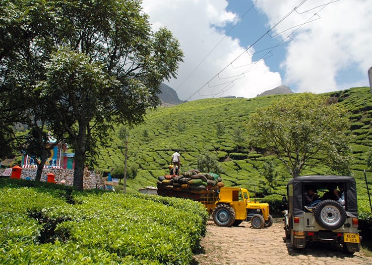 A truck loads up on bags of freshly picked tea in the Kolukkumalai tea platation