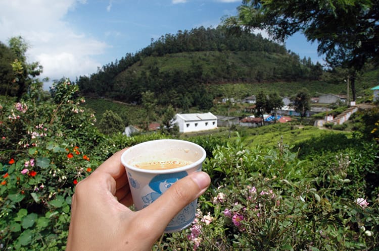 A fresh cup of masala tea in front of the hills surrounding the tea plantation in Munnar
