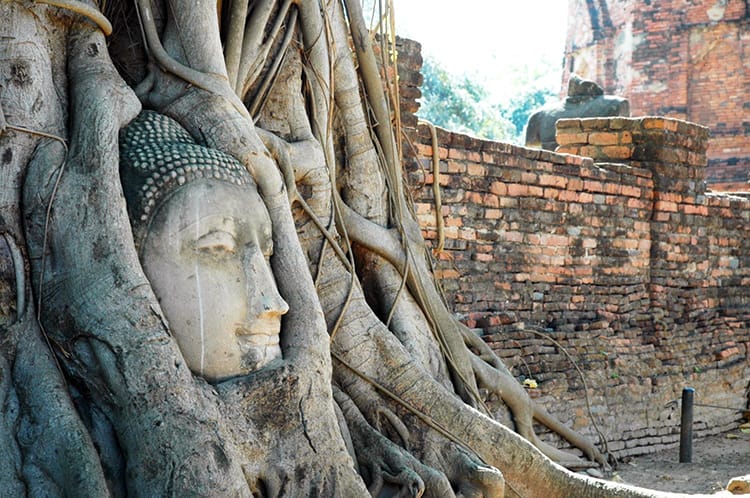 A Buddha head from a statue which a tree has grown around in Ayutthaya Thailand, Thailand backpacking budget
