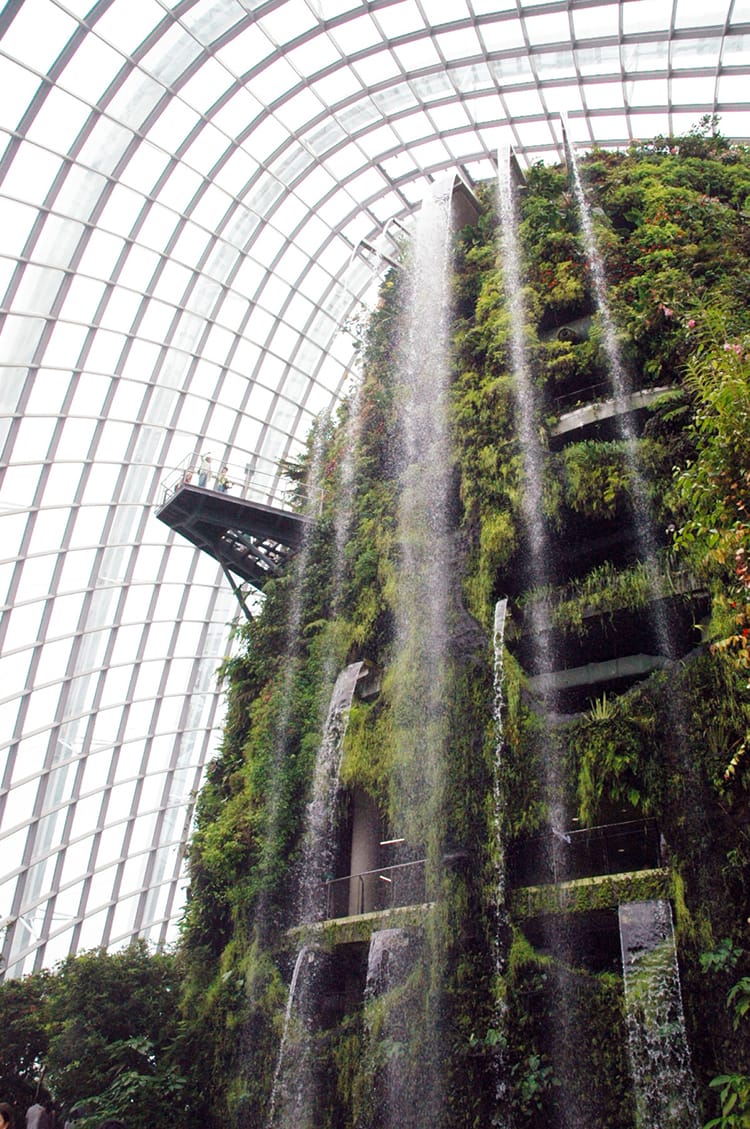 Inside the Cloud Forest where a waterfall falls several stories inside