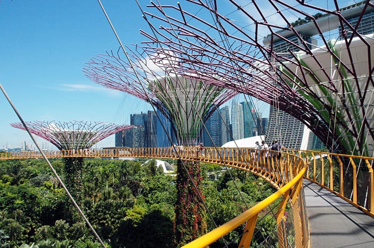 The OCBC Skyway which goes through the Super Trees in Garden by the Bay in Singapore